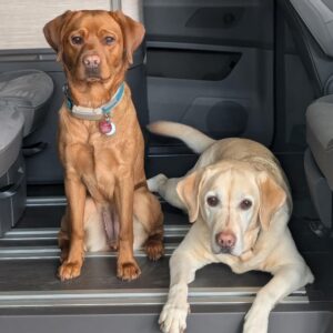 Unsere Feelgood-Manager